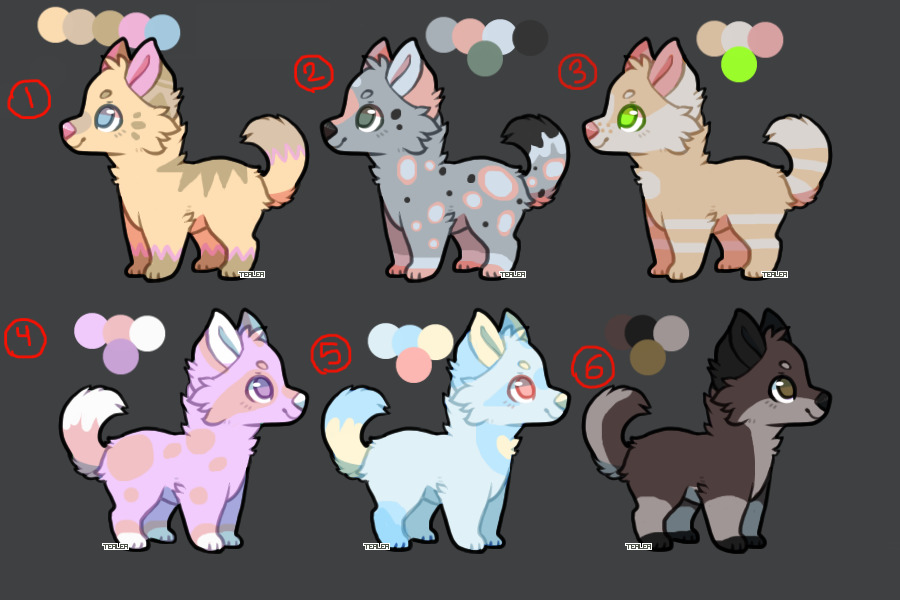 Some Adoptable Pups