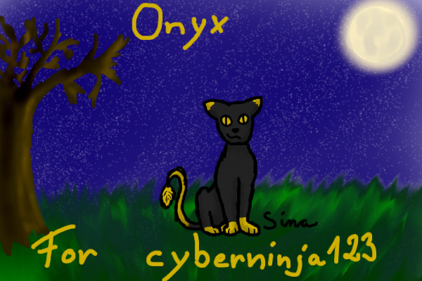 Onyx For cyberninja123