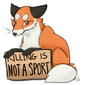 'killing is not a sport'