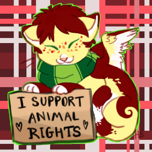 Leptir Supports Animal Rights