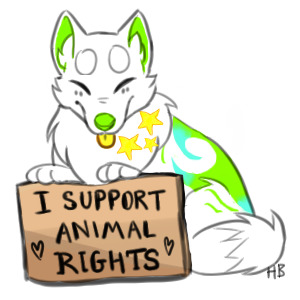 I support animal rights!