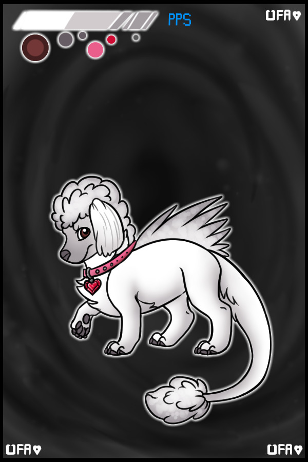 Batch #846 - Poodle - Winner!