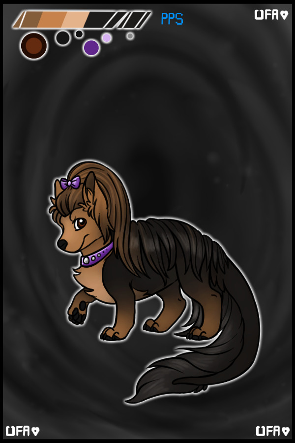 Batch #849 - Yorkshire Terrier
