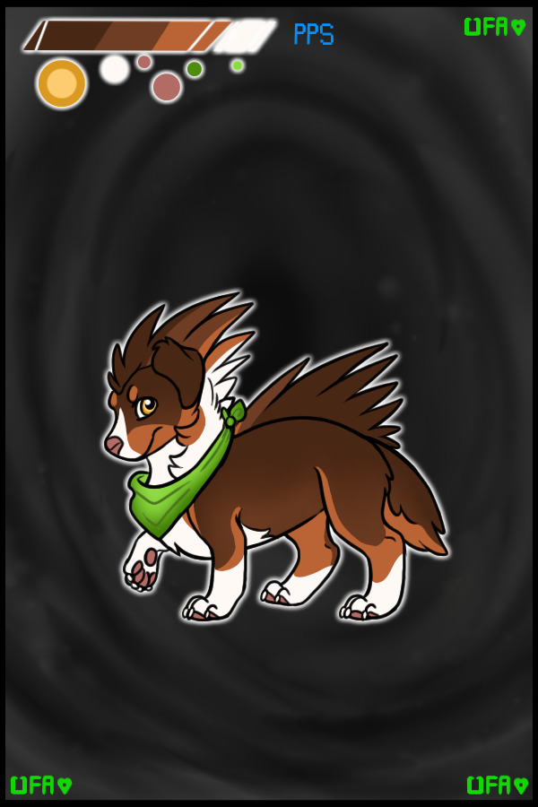 Batch #853 - Australian Shepherd - dA Adopt