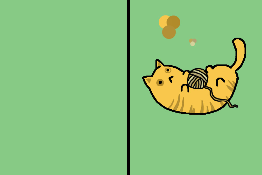 bean cat