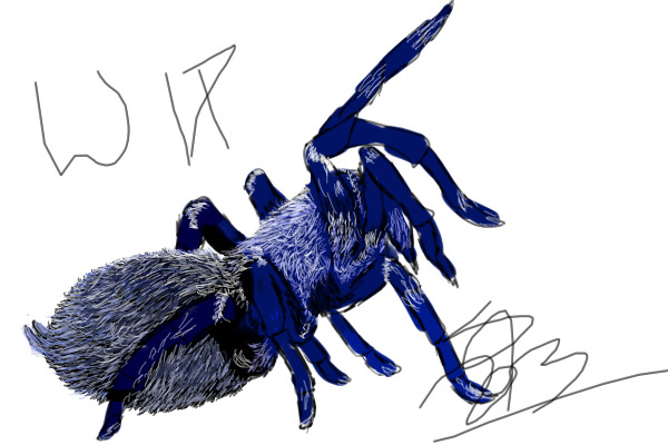 WIP #3