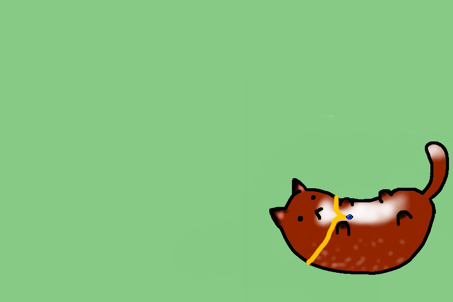 Bean Cat-Foxx
