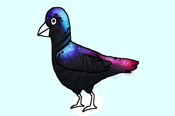 Galaxy pigeon