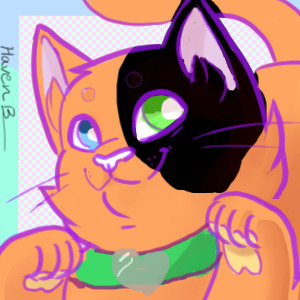 Green eye cat avatar