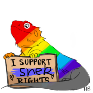 Support snek rights