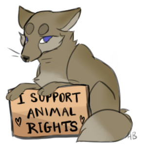 Fox Animal Rights