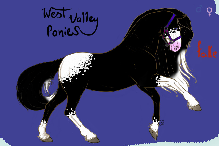 West Valley Ponies ~ ElizabethPine's Entries ~ Entry #1