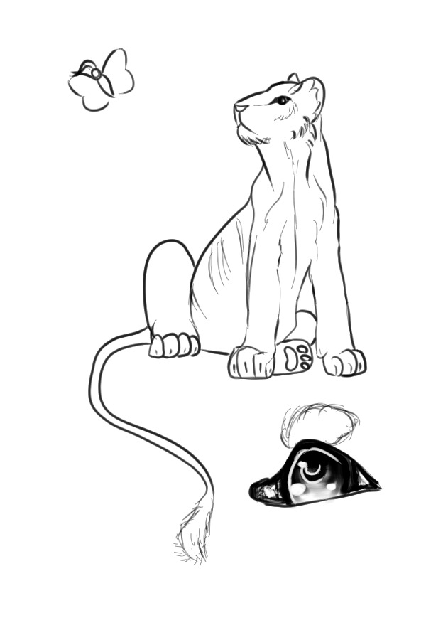 Anatomy practice