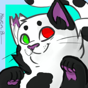 My OC