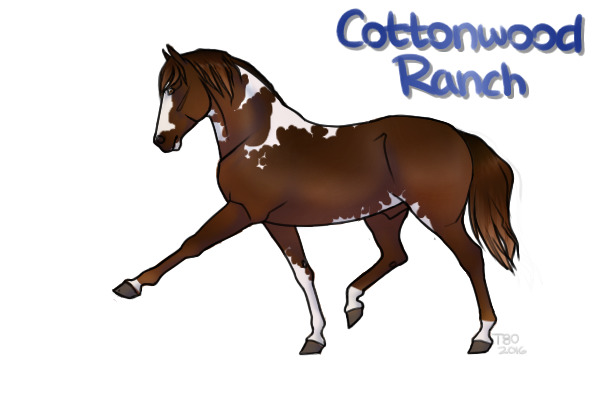 CWHR: Liver Chestnut Stallion