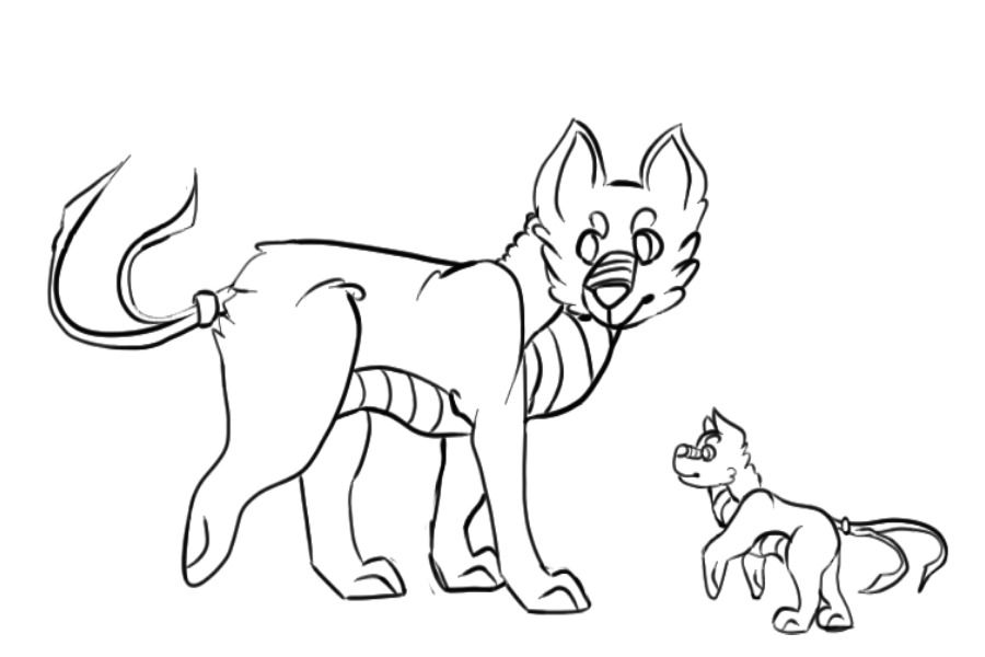 sketch phase
