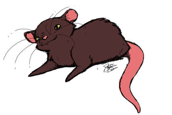 Mouse/Rat