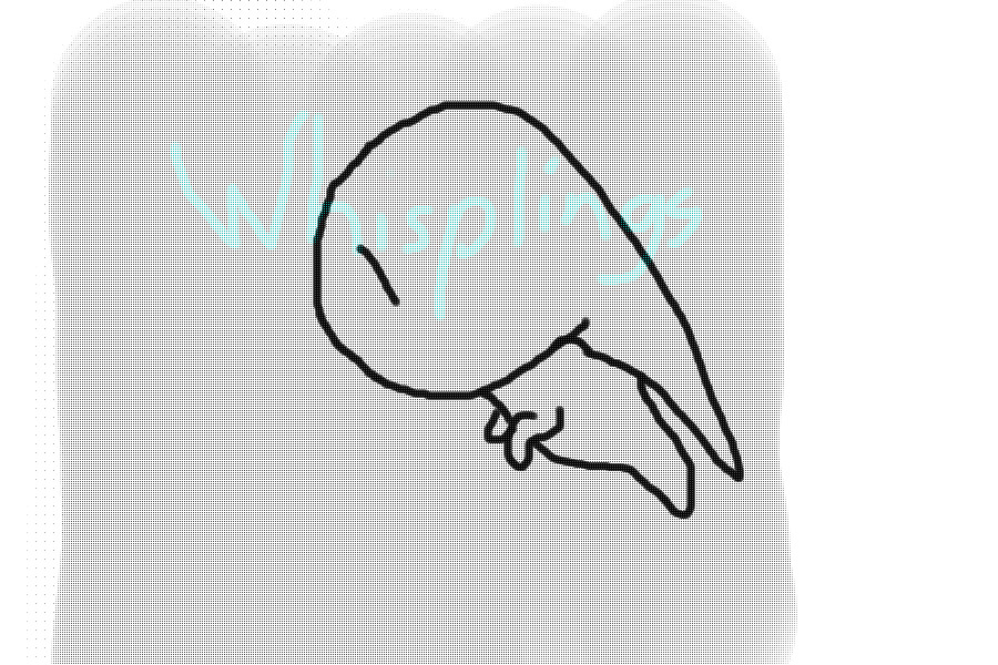 Adopt a Whispling! {CUSTOMS NOW OPEN!}