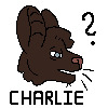 Charlie's Ask Icon
