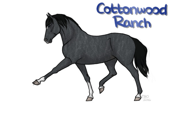 CWHR Blue Roan