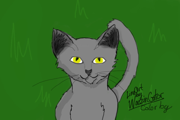 Gray Cat