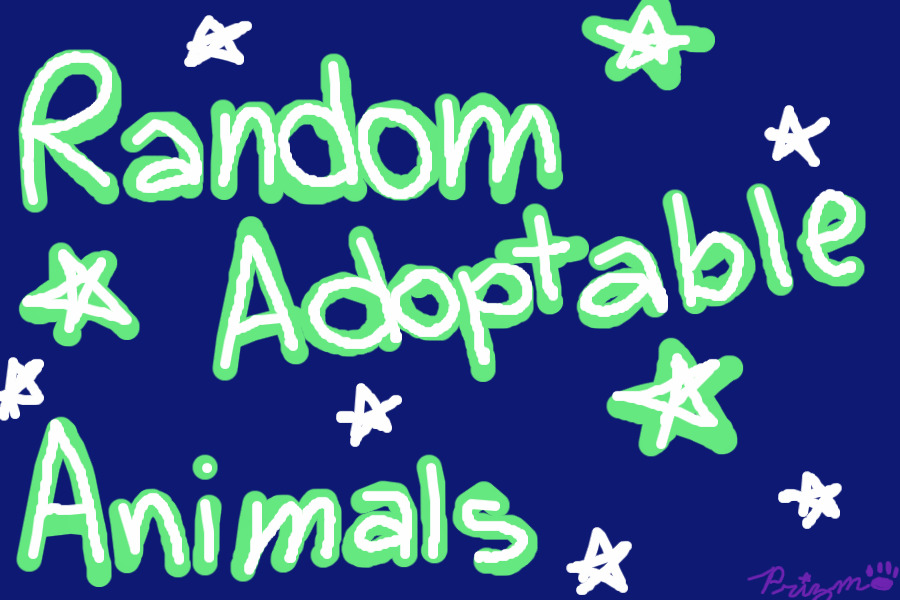 Random Adoptable Animals!