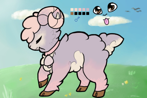 #3 Sheep