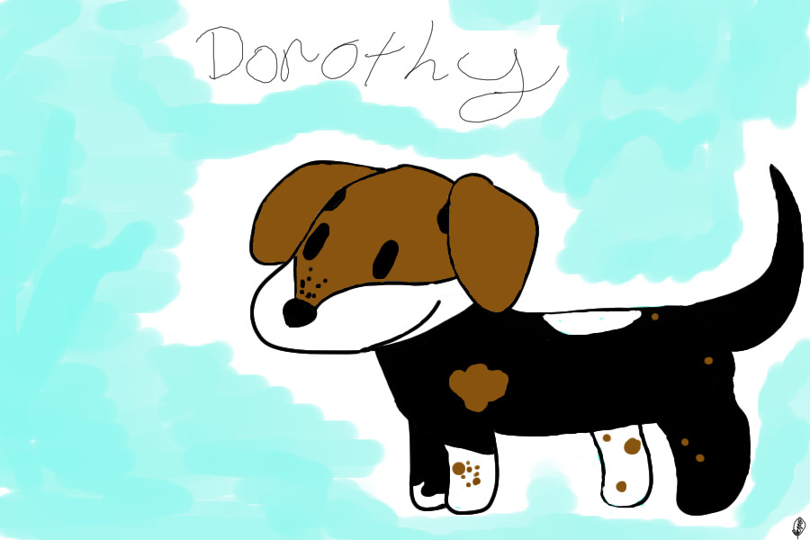Dorothy the adorable puppy!