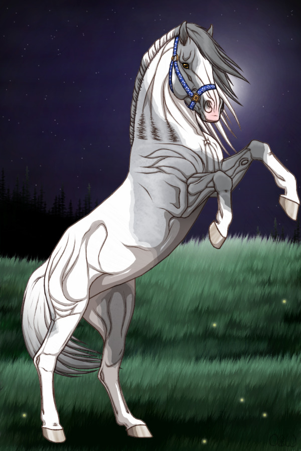 ~❊~ #182 Midnight Stallions ~❊~