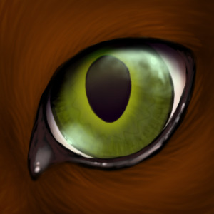 brown cat, green eye
