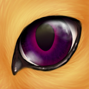 purple eyed sandy cat