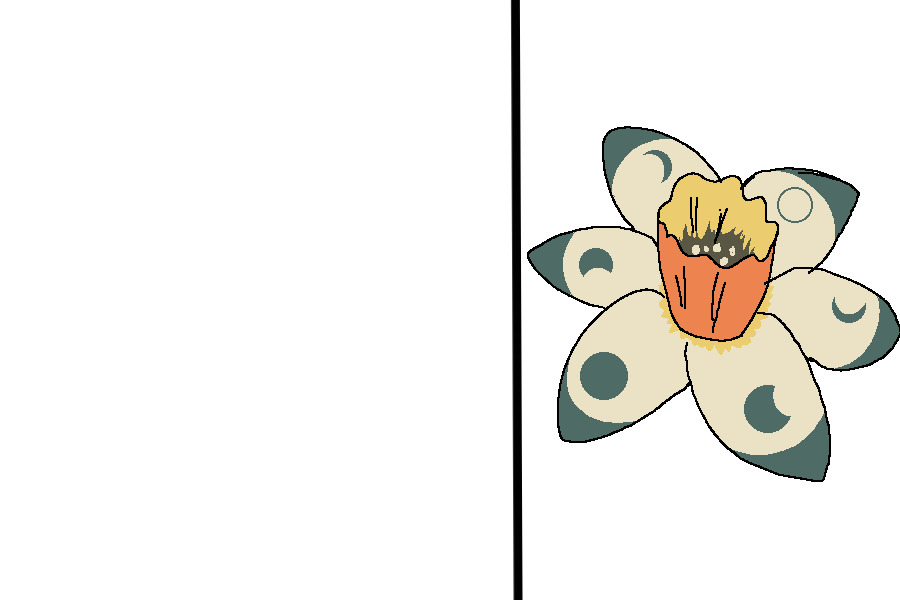 flower/character