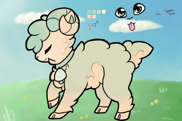 #6 Sheep
