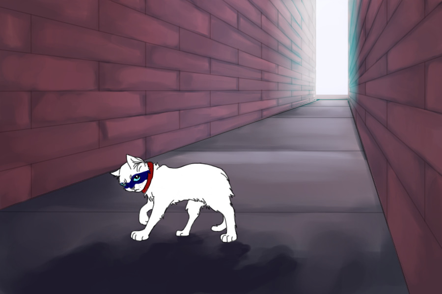 Custom for flamed_writer