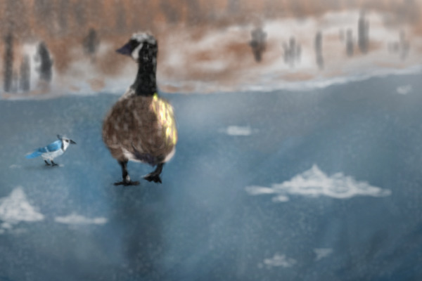 Home [gonna redraw??]