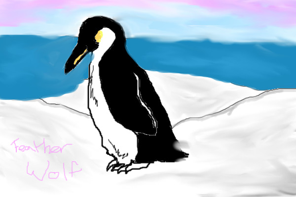 Penguin Paridise