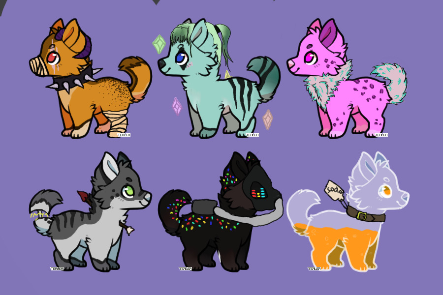 Adopts  2/6 open