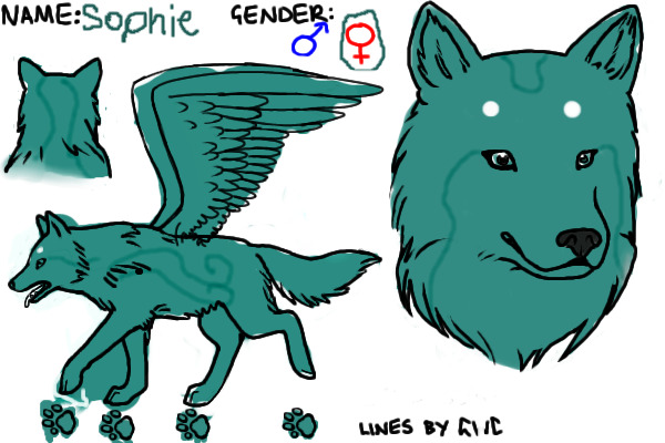 Sophie The Wolf