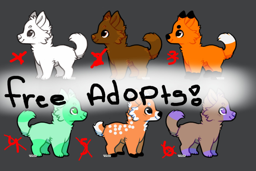 Free Dog Adopts!