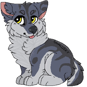 Pixel Woof