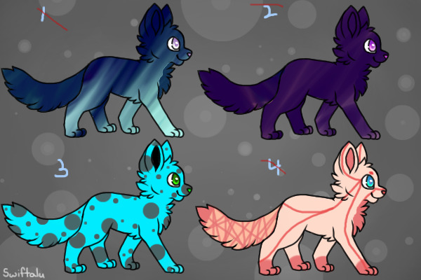 cat adoptables/only one left!