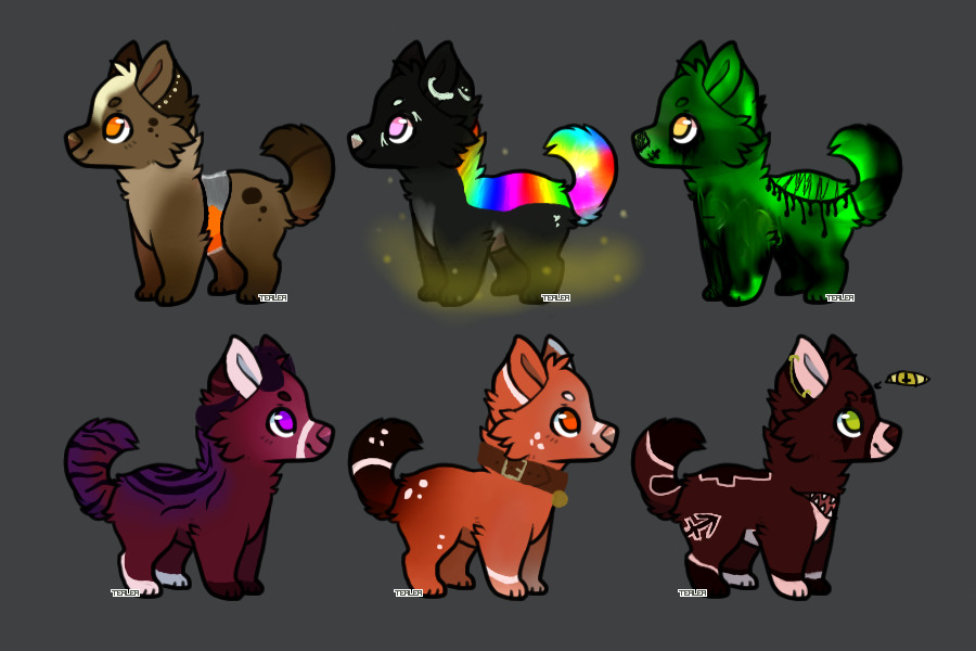 Adopts for sale ( 3 /6 open)