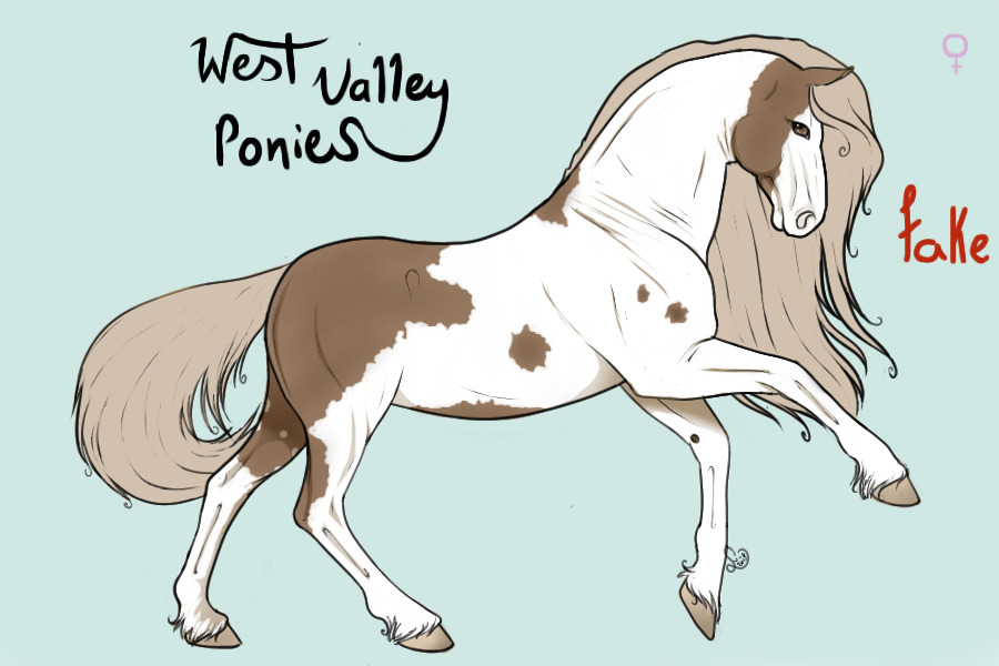 Flaxen Ches. Tobiano