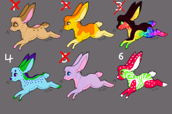 Bunnies For Adoption (Price changed)