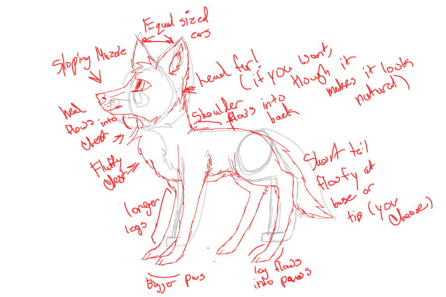 Anatomy Help