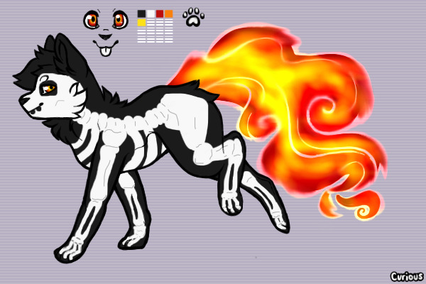 Felus adopt