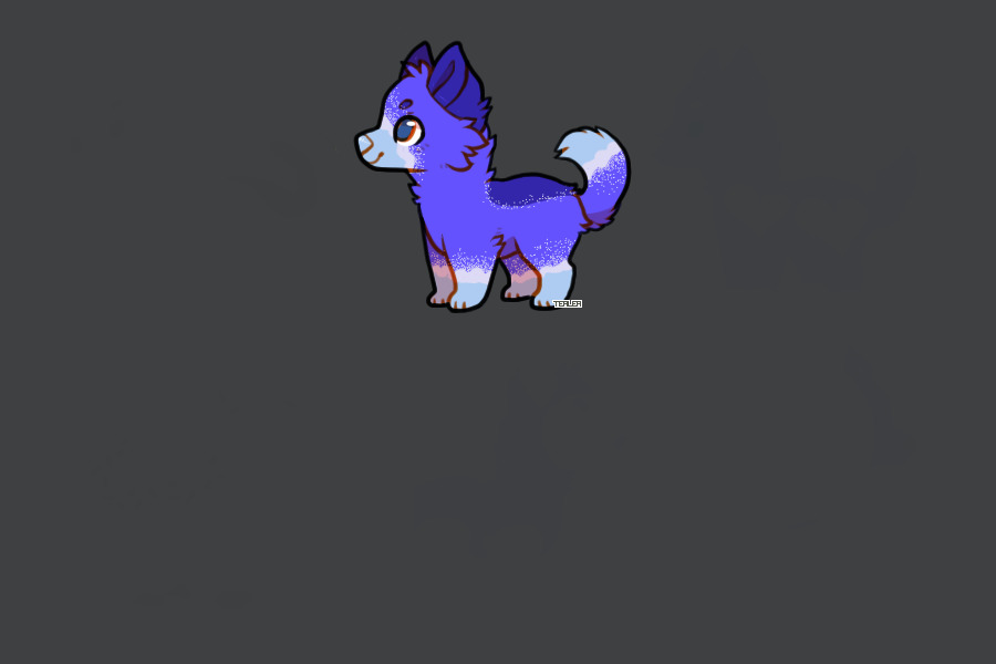 New pupper <3