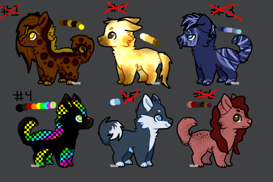 💕 Puppy Adopts! 1 LEFT 💕