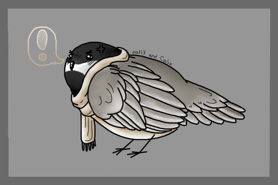 Chickadee Borb