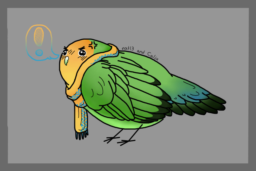 Orange-Faced Lovebird Borb